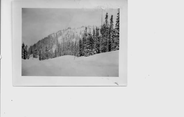 image for Santiam Pass in Winter